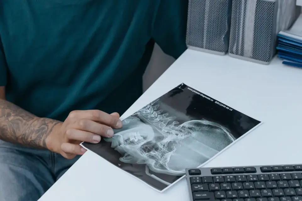 A veterinarian gently examining a dog's neck during a wellness exam