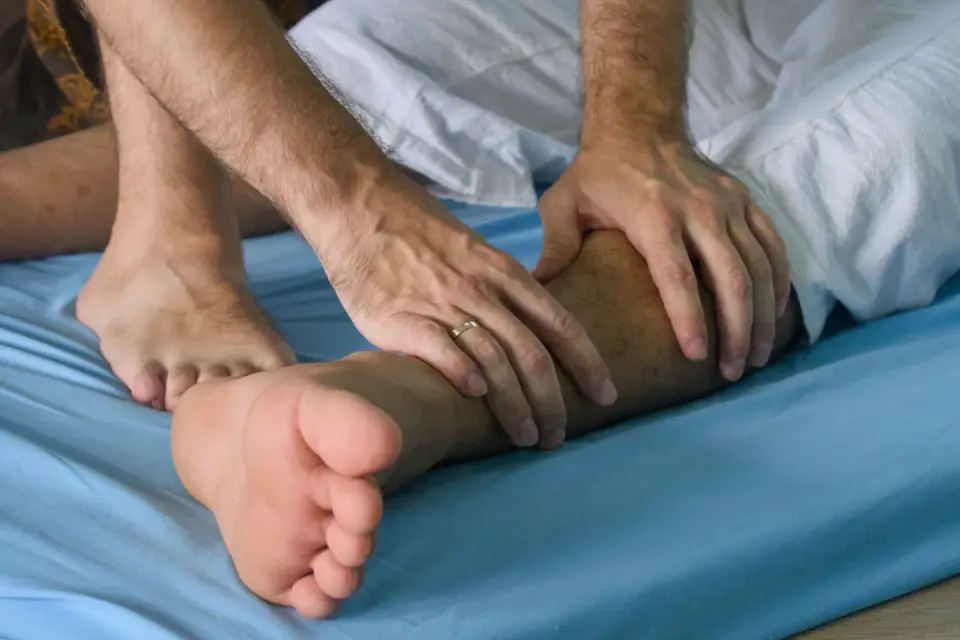 A veterinarian gently feeling a dog&#x27;s hind leg during a joint exam