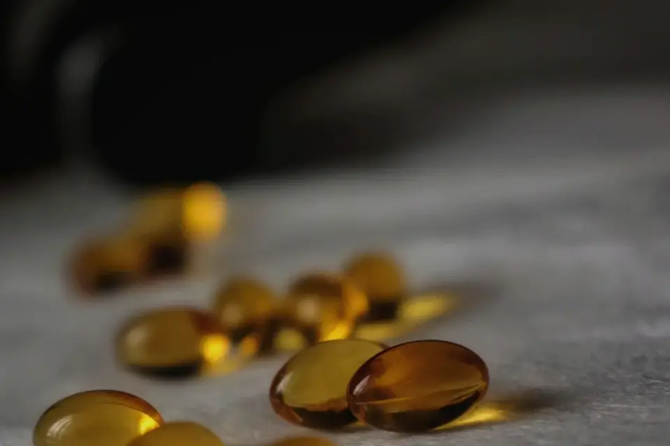 Bottle of fish oil supplement next to a dog's kibble bowl