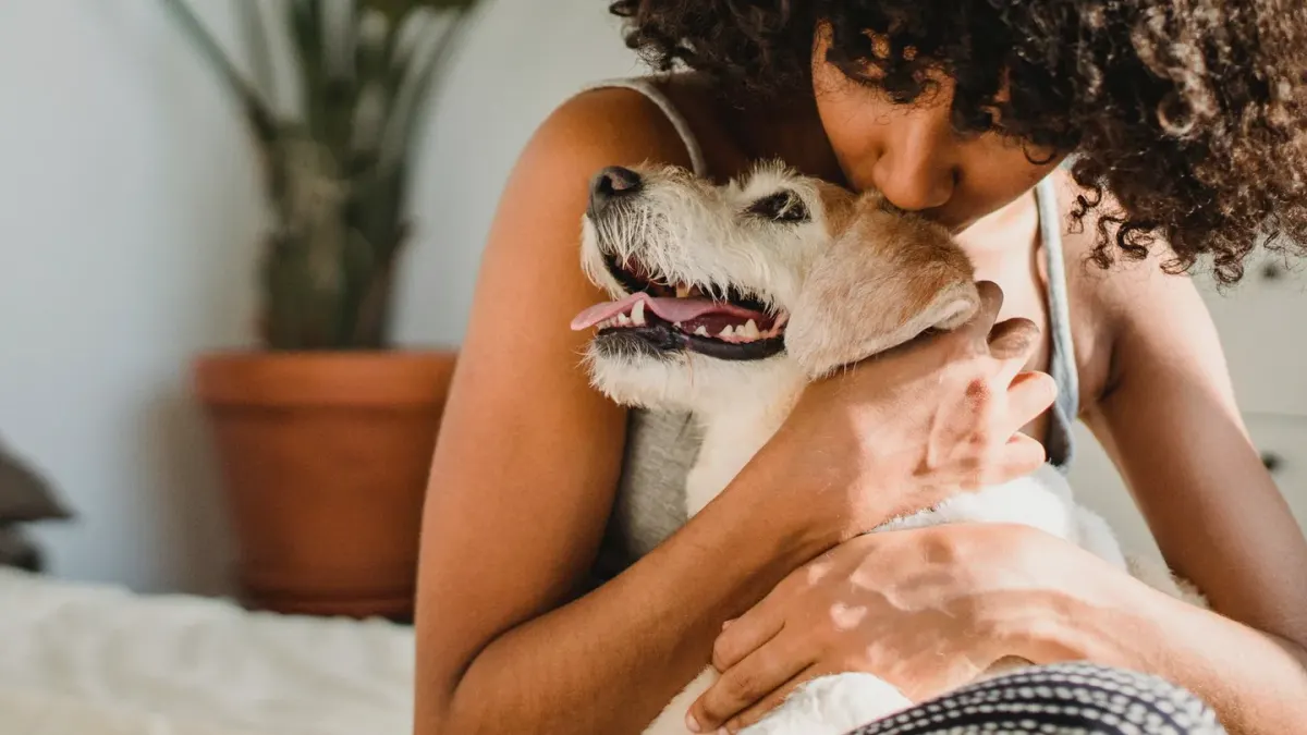 Dog with an owner at home