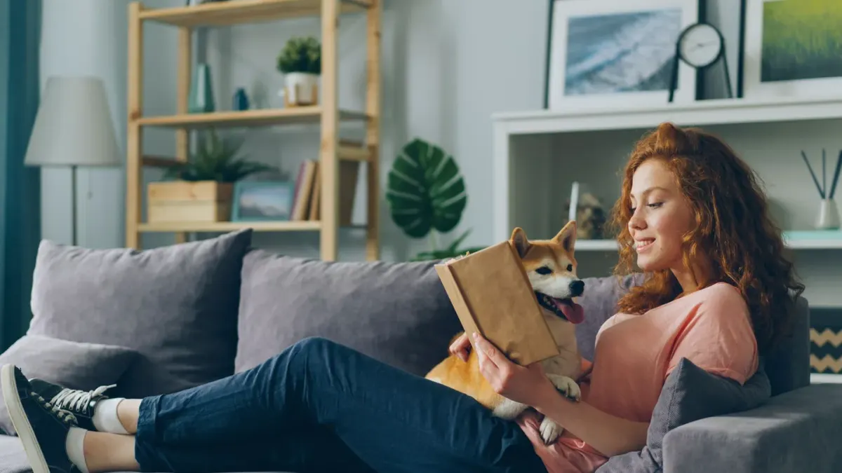 Dog with an owner at home
