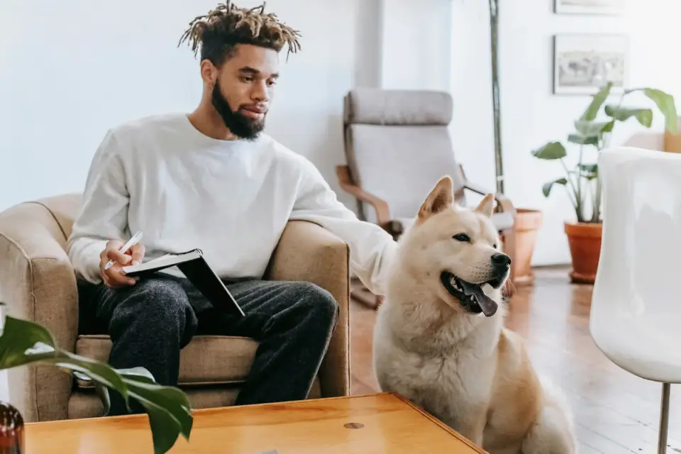Dog with an owner at home