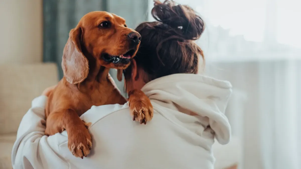 Dog with an owner at home