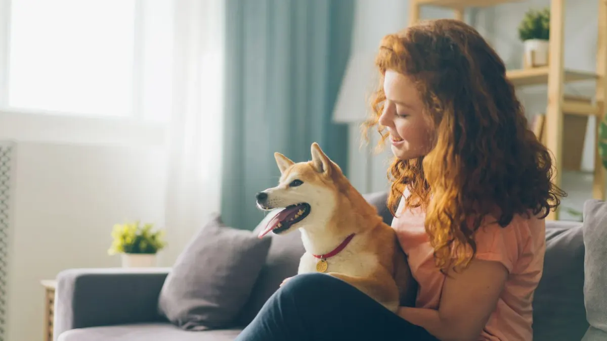 Dog with an owner at home